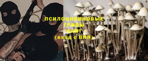 стафф Алексеевка