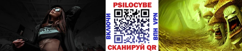 Галлюциногенные грибы Cubensis  продажа наркотиков  Суджа 